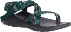 Chaco Women's Z/Cloud X 11 Chaco Women's Z/Cloud X -Englin's Fine Footwear chaco womens z cloud x warren pine jch107986 41418.1647288280