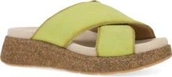 Dansko Bridget 8 Dansko Bridget -Englin's Fine Footwear dansko womens bridget lime burnished suede 7012460300 40295.1742826797