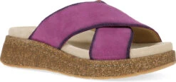 Dansko Bridget 9 Dansko Bridget -Englin's Fine Footwear dansko womens bridget plum burnished suede 7012410300 96640.1742824360