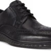 ECCO Men's ST.1 Hybrid Lite Wingtip Brogue -Englin's Fine Footwear ecco mens st 1 hybrid lite wingtip brogue black 83720411001 24715.1597881417