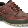 ECCO Men's Track 25 Shoe 1 ECCO Men's Track 25 Shoe -Englin's Fine Footwear ecco mens track 25 shoe bison 83171452600 56705.1567448226
