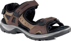 ECCO Women's Yucatan Sandal -Englin's Fine Footwear ecco womens yucatan bison 06956352524 04739.1687214227