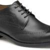 Johnston & Murphy Danridge Wingtip 2 Johnston & Murphy Danridge Wingtip -Englin's Fine Footwear johnston murphy mens danridge wingtip black full grain 15 8017 25549.1664812097