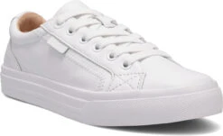 Taos Plim Soul Lux -Englin's Fine Footwear taos womens plim soul lux white leather plx 13994a whtl 42402.1682099722